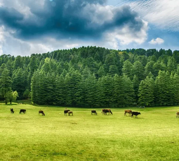 "Sunrise view from a luxury Himalayan resort."